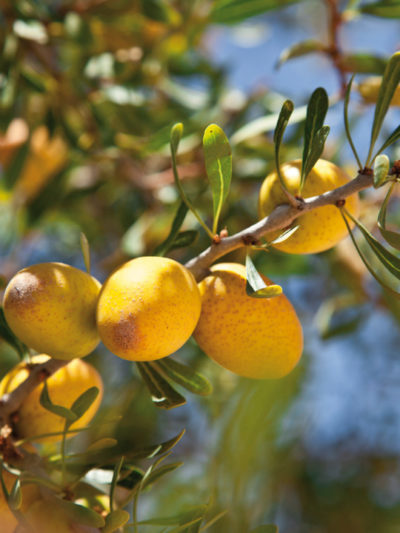 Huile vierge Bio ARGAN* Maroc