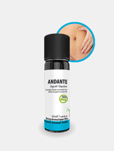 Grog ANDANTE* Bio : digestion, transit, flore intestinale