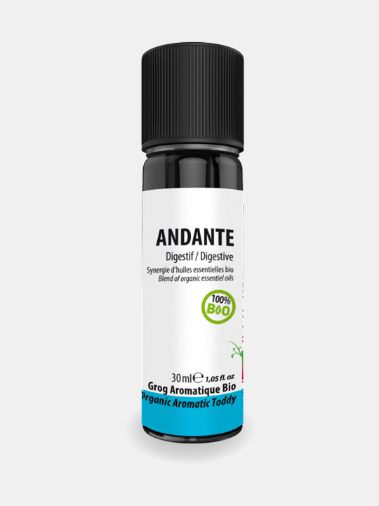 Grog ANDANTE* Bio : digestion, transit, flore intestinale – Image 4
