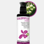 Huile vierge Bio CALOPHYLLE* Vietnam