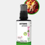 Parfum d'ambiance Bio Automne Vie Arôme