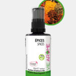 Parfum d'ambiance Bio Epices Vie Arôme