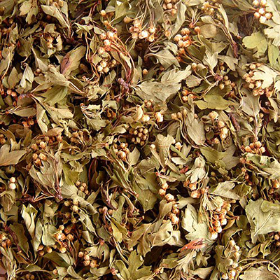 Aubépine* Bio Fleurs & Feuilles