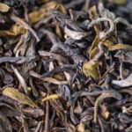 Thé vert Bio 1er choix Vietnam
