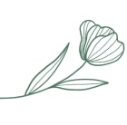 single-image-01