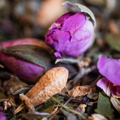 NUIT PAISIBLE BIO 50 g
