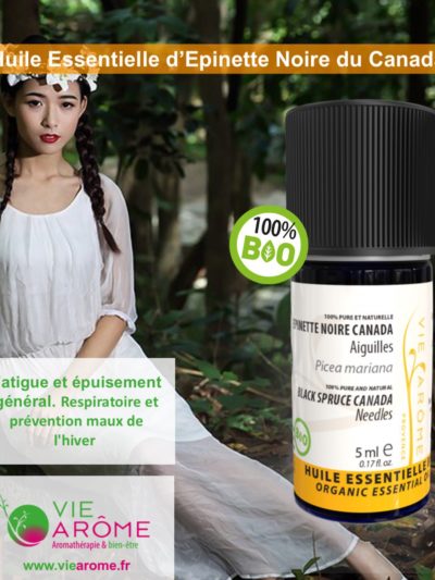 EPINETTE NOIRE Aiguilles Canada *