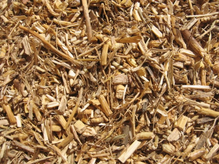 Chiendent Rhizomes Bio 30 g *