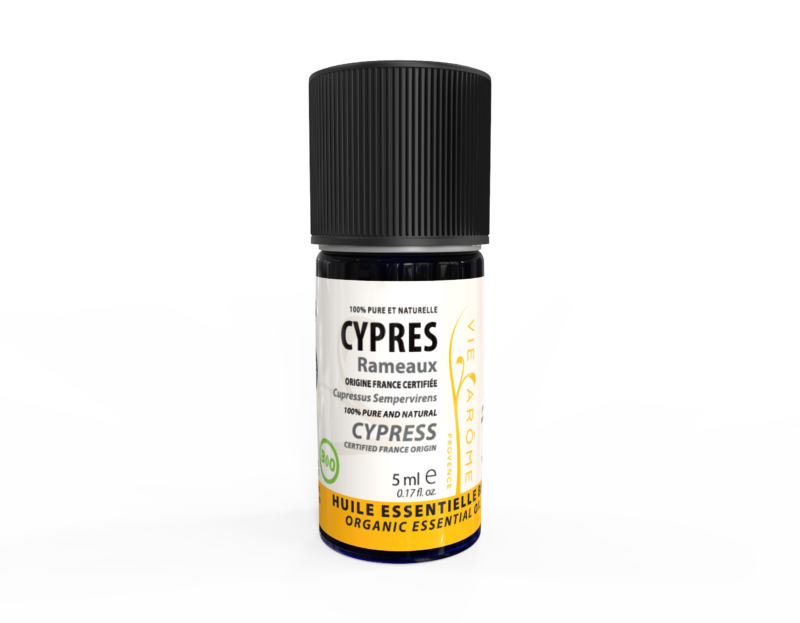 CYPRES VERT Rameaux feuillus Provence *