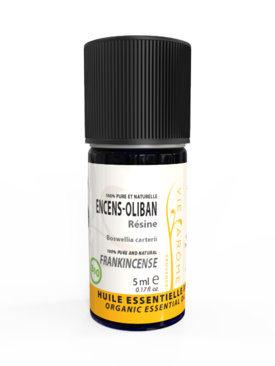 ENCENS OLIBAN Gomme-résine (Tiges) Somalie *