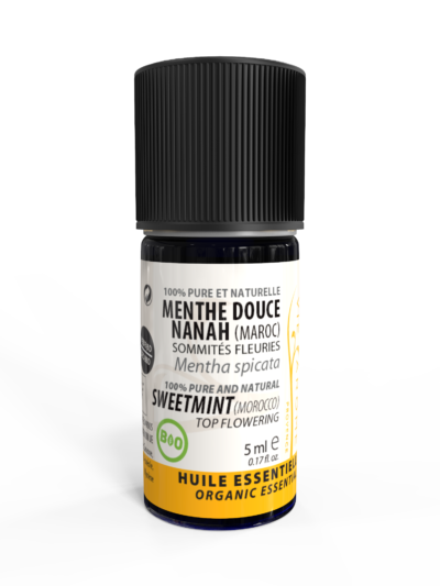 MENTHE DOUCE NANAH Parties Aériennes Maroc *