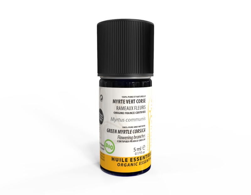 MYRTE VERT Rameaux fleuris Corse 2 ml