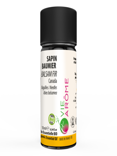 SAPIN BAUMIER Aiguilles Canada
