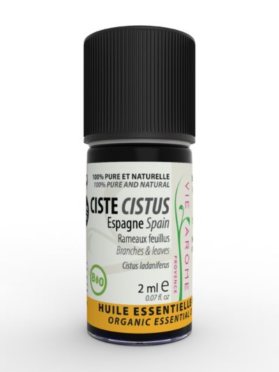 CISTE LADANIFERE Gomme-résine (rameaux feuillus) Espagne *