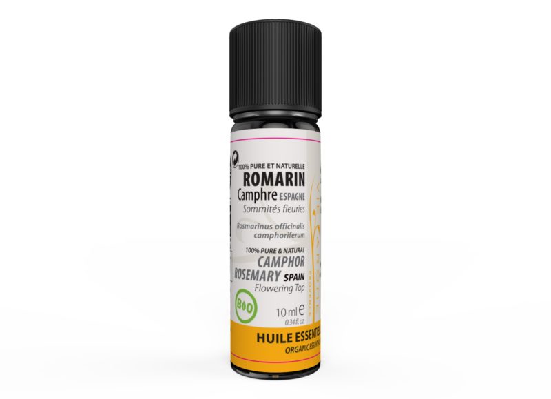 ROMARIN A CAMPHRE Rameaux Espagne *