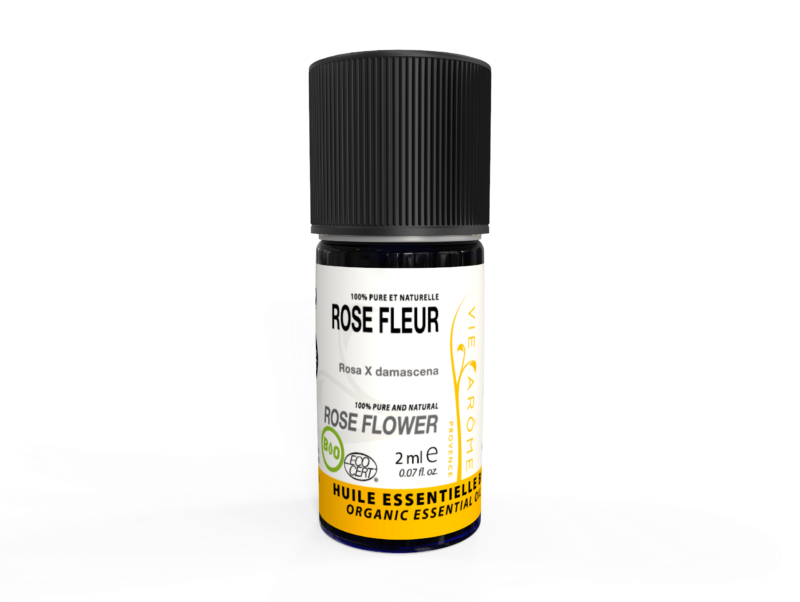 ROSE DE DAMAS Fleurs Bulgarie *
