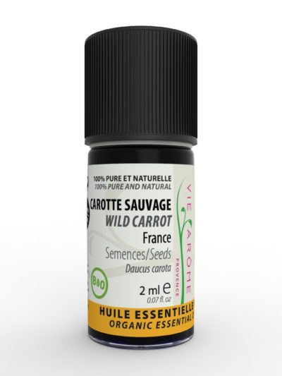 CAROTTE SAUVAGE Semences France 2 ml