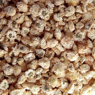 Camomille romaine Fleurs Bio 20 g