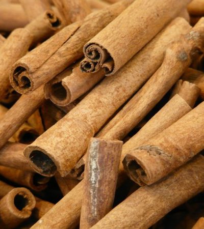 CANNELLE Ecorces Sri Lanka 5 ml