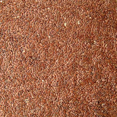 Lin Semences Bio 50 g