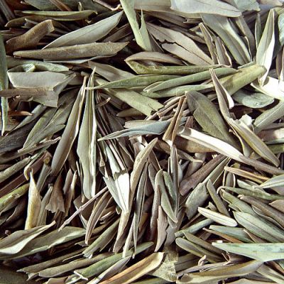 Olivier Feuilles Bio 40 g
