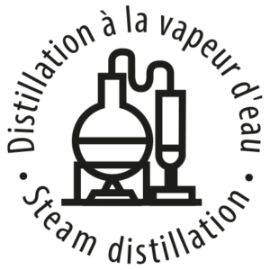 Distillation à la vapeur d'eau Steam distillation