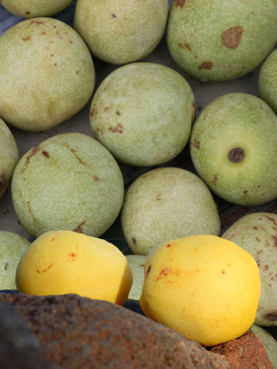 Huile vierge Bio MARULA** Afrique du Sud