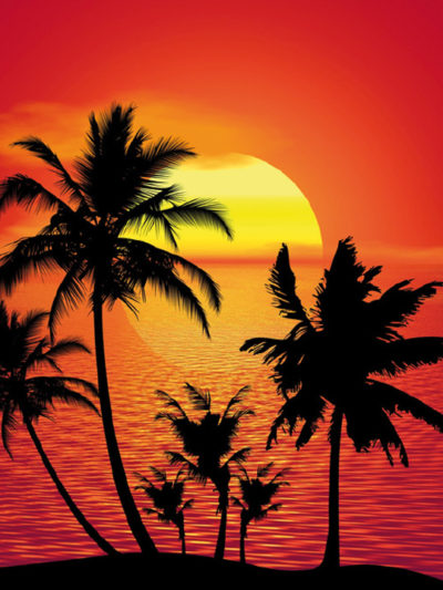 Parfum d&rsquo;Ambiance TROPIC*** Bio : relaxant, généreux, douceur des Tropiques, senteurs zestées, rosées et épicées