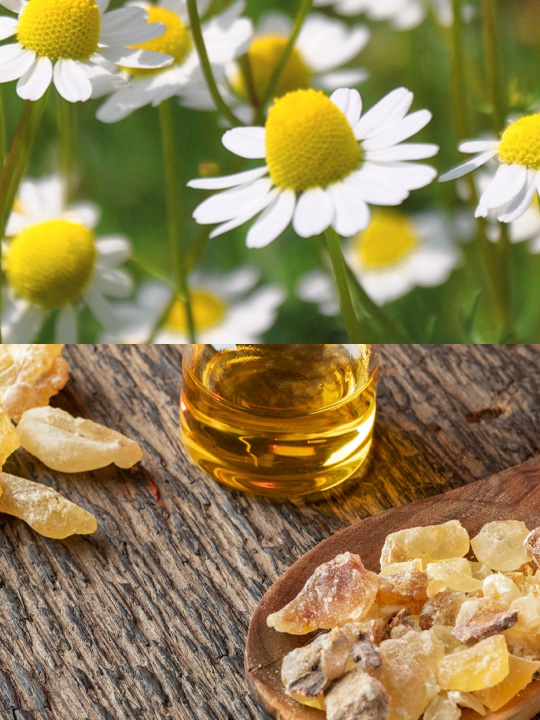 Camomille romaine Encens Oliban Bio Huile de massage Lâcher prise Emotionnel