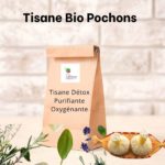 Tisane Pochon Visage Détox Bio Vie Arôme