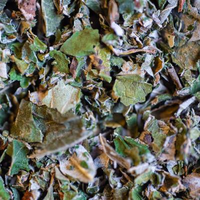 Framboisier Bio Feuille coupée