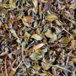 Thym citron Bio Feuilles