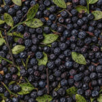 Myrtille* Bio Fruits