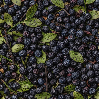 Myrtille* Bio Fruits