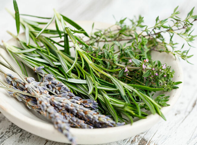Viearome-laboratoire-Neurosciences-plantes-01.jpg