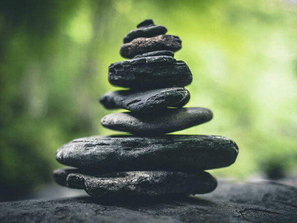 Viearome-laboratoire-Neurosciences-zen-02 Viearome-laboratoire-Neurosciences-zen-02